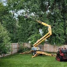 Best Utility Line Clearance  in Bend, OR