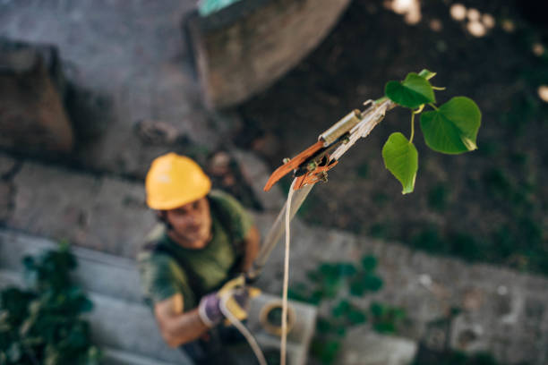 Best Seasonal Cleanup (Spring/Fall)  in Bend, OR