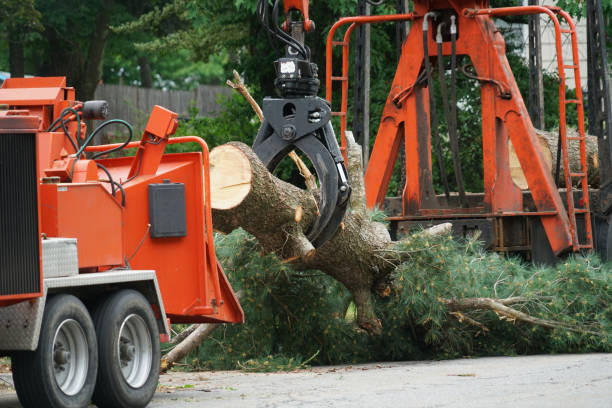 Best Aeration Services  in Bend, OR