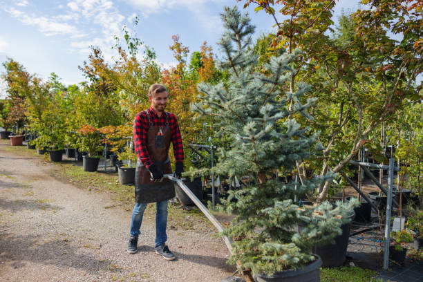 Best Pest Control for Lawns  in Bend, OR