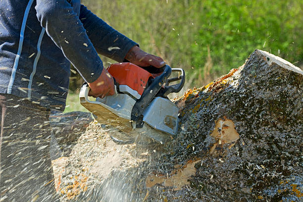 Best Leaf Removal  in Bend, OR